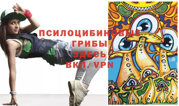 ECSTASY Богородск