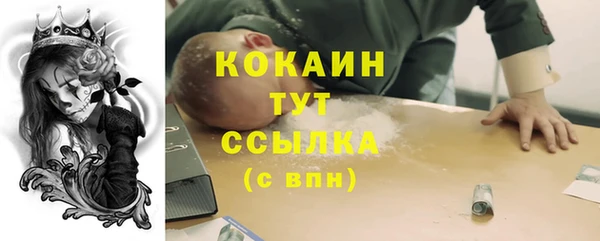 ECSTASY Богородск
