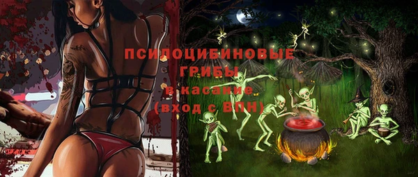 бутират Богородицк