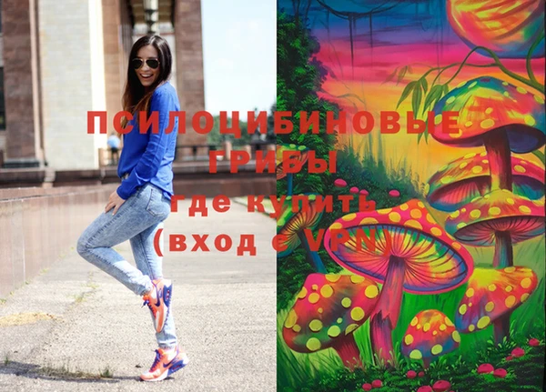 бутират Богородицк