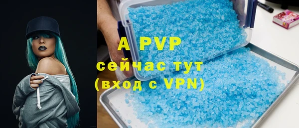 ECSTASY Богородск