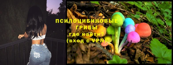 ECSTASY Богородск