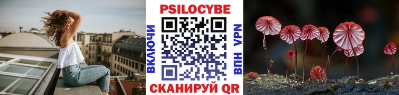 Галлюциногенные грибы мицелий  Купить где  Мирный 